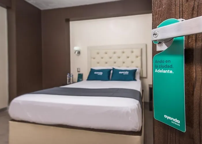 Olimpo Sauna & Hotel