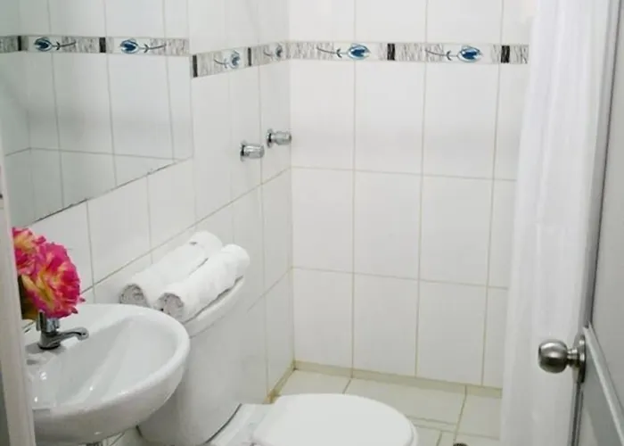 Olimpo Sauna & Cusco